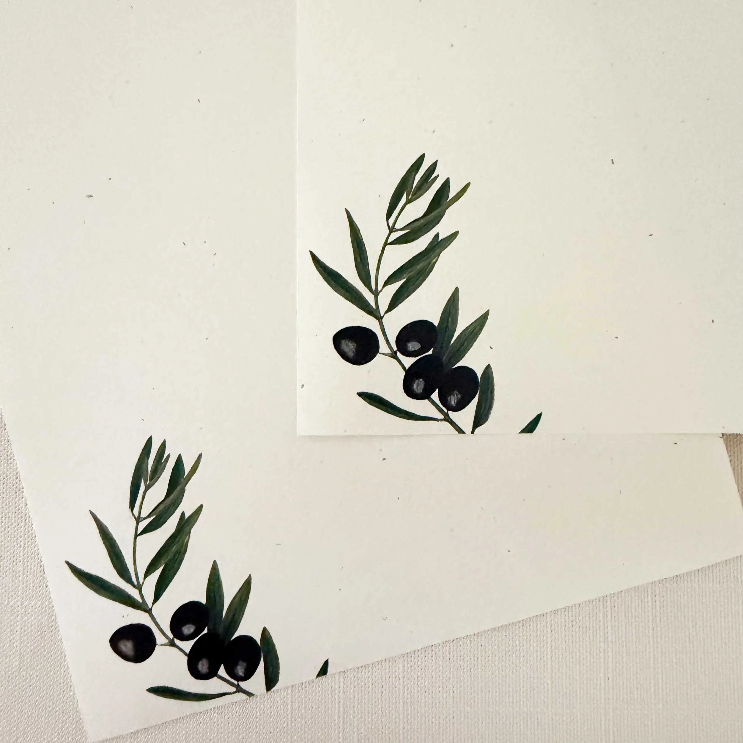 black-olives-letter-writing-set_3.jpg