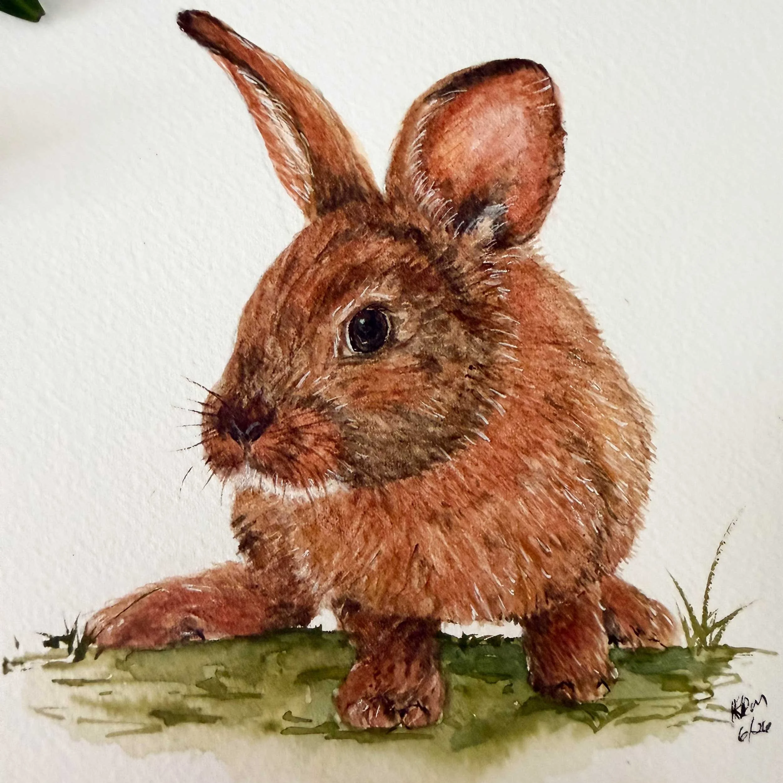 young-bunny-in-grass_painting_3.jpg