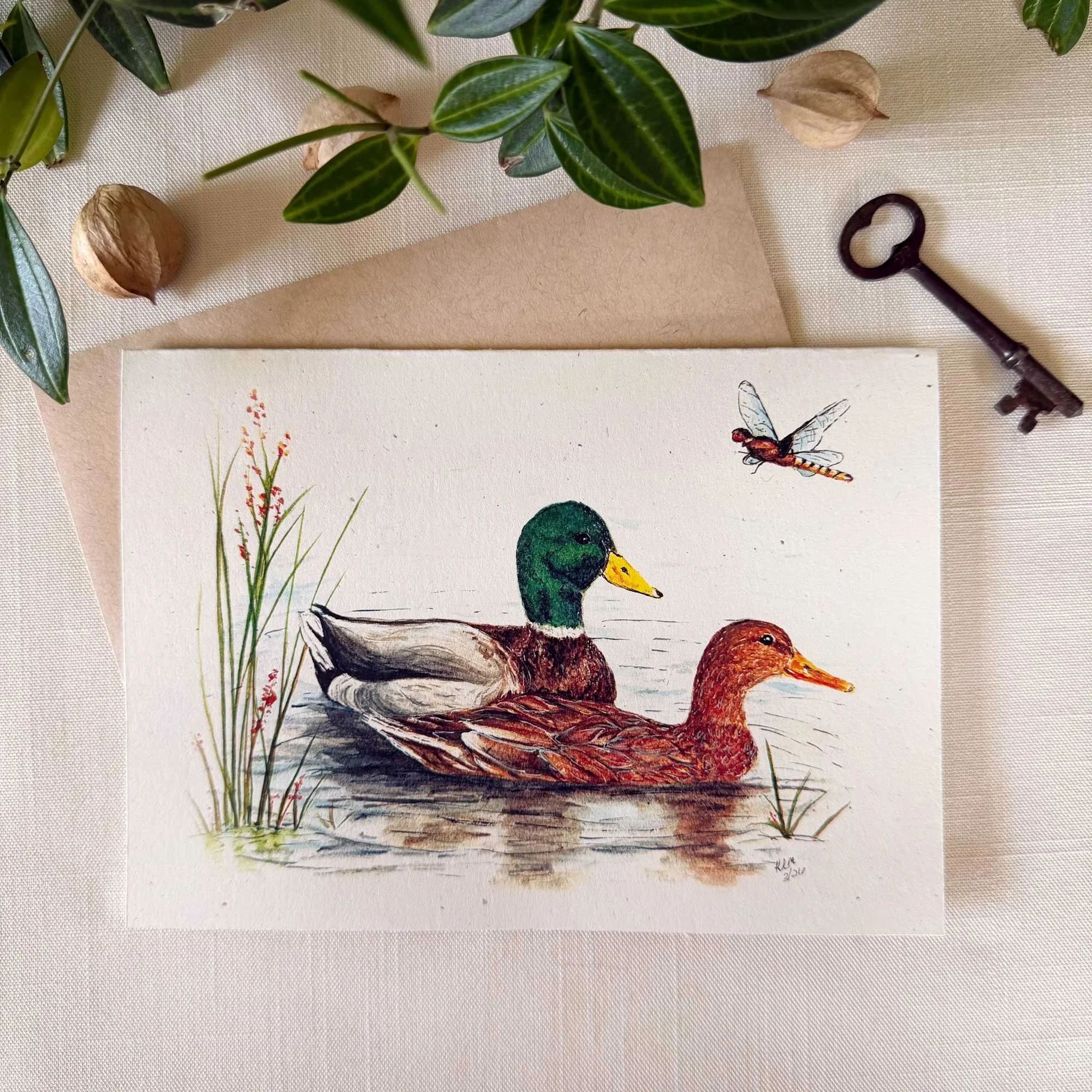 Mallard-couple-greeting-card_1.jpg