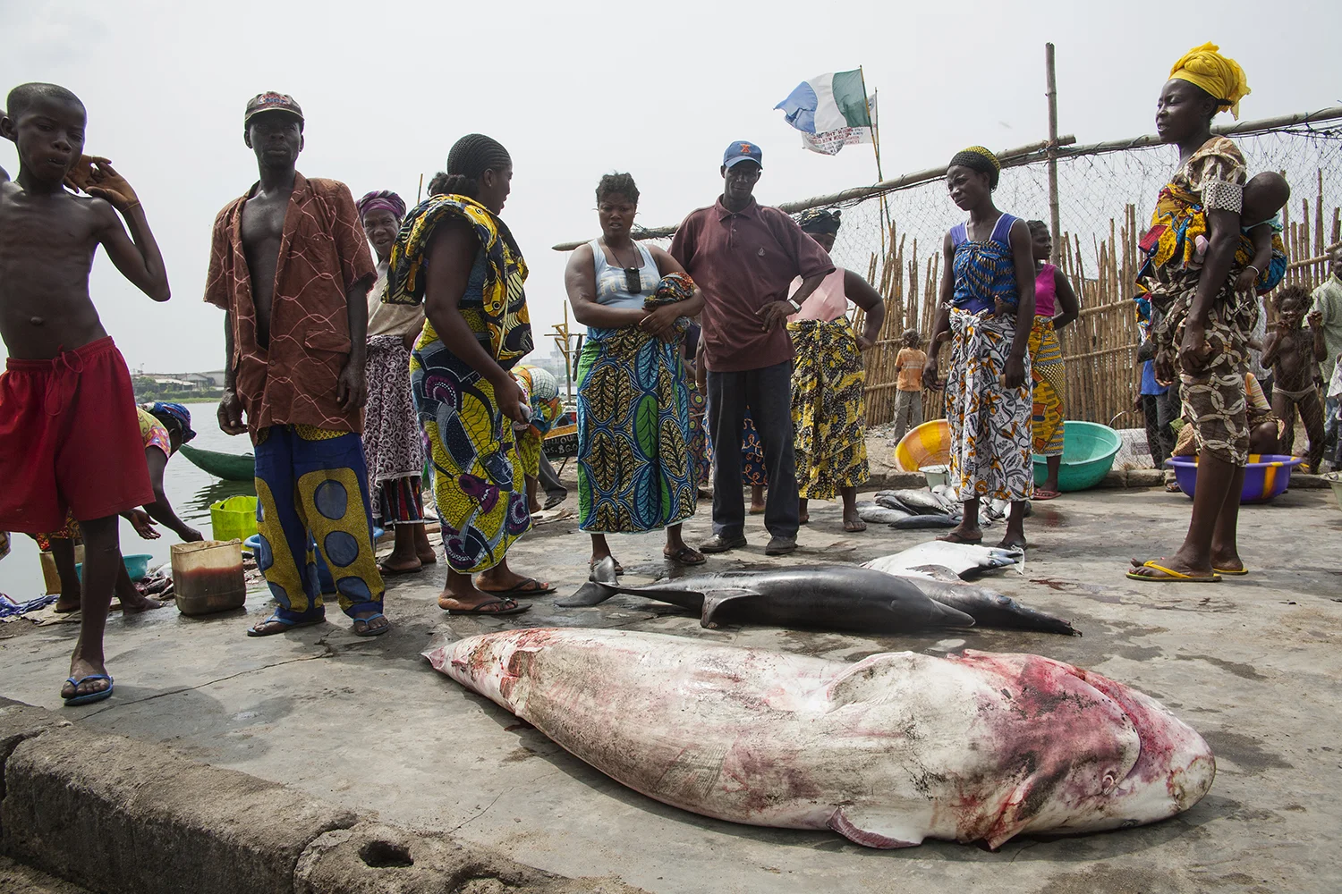 Catch of the Day, West Point, Liberia