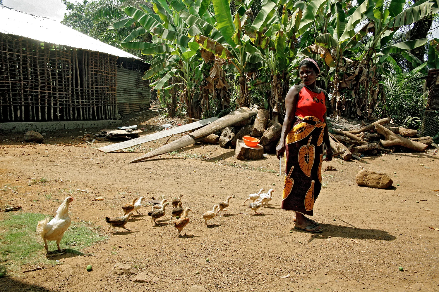 Leading the Flock, Robertsport, Liberia