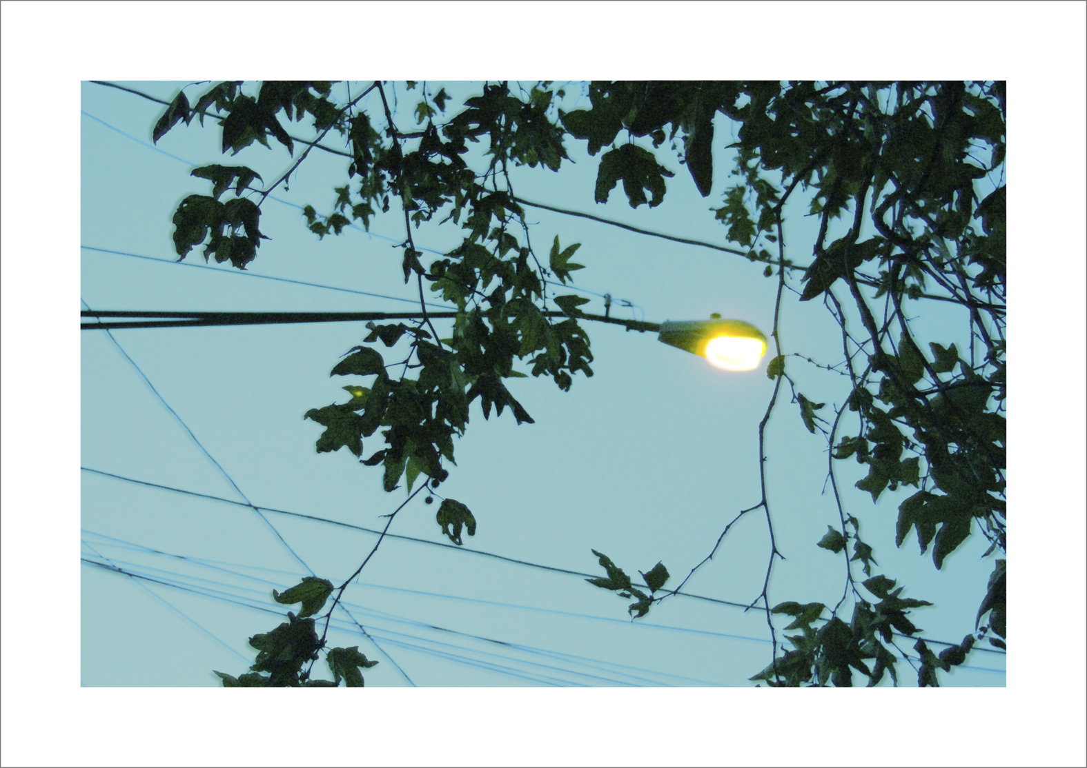 Michael Reinhardt - Urban Nature