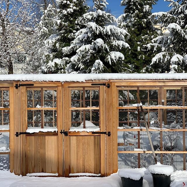 Remembering this winter day when I felt like I was in Colorado again. A beautiful New Jersey day in December at this vegetable garden we created for a Summit client.
@scheppelandscape @jkestandco @boardsandbeams