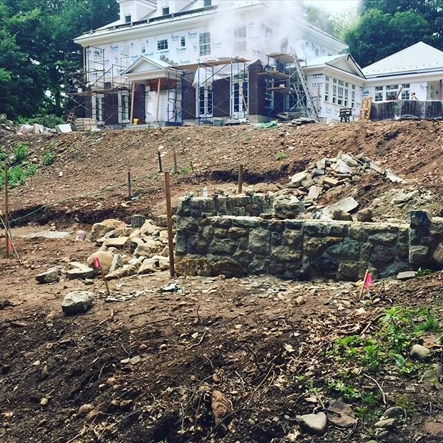 Who doesn&rsquo;t love a good &ldquo;during&rdquo; and &ldquo;after&rdquo;? 🌷#daffodilsfordays #jkestandco #landscapearchitect