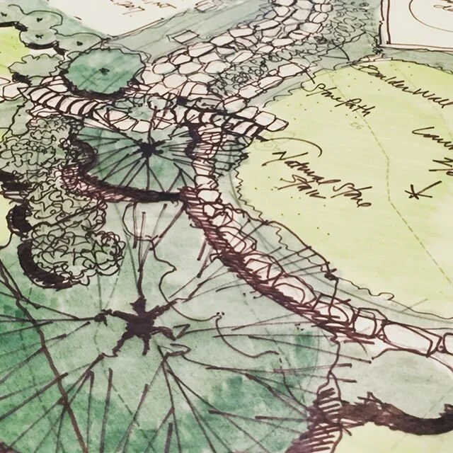 One of our more challenging projects. Manipulating one story of grade in a small area to create usable lawn and lush garden paths 
#gardendesign #garden #hydrangea #landscape #landscape architecture #landscapedesign @rkcad