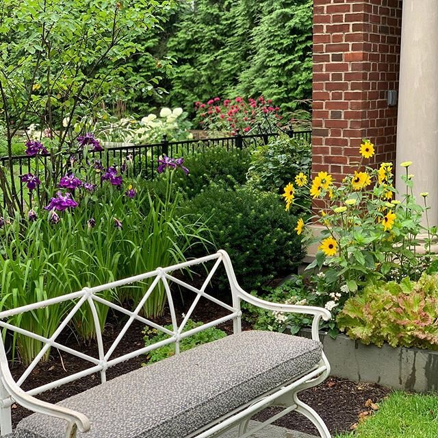 A lovely antique bench in the garden. Nice choice @rkcad 
#gardendesign #gardenlove #landscapearchitect #landscapearchitecture #garden #hydrangea #landscapedesign #beebalm