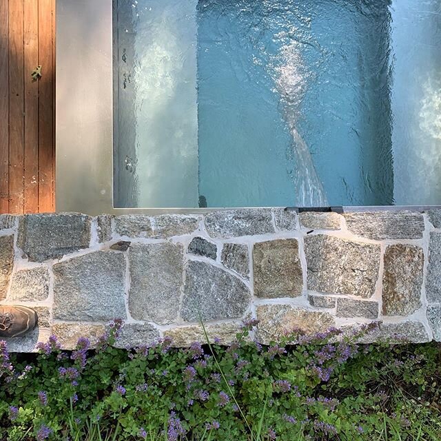 Loving the stone, stainless steel and ipe, with a little band of nepeta....
@mattruskent @scheppelandscape @decksbykiefer #swimmingpools #ipe #nepeta #gardendesign #finegardening #summer #gardenlove #pool