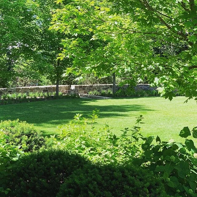 A granite and bluestone fountain set beneath Green Mountain Sugar Maples
#landscapearchitect #landscapearchitecture#astilbe #hydrangea #gardendesign#gardenlovers #gardens #plantlovers #plants#landscapedesign#flowers #gardener #gardenlife #liriope #st