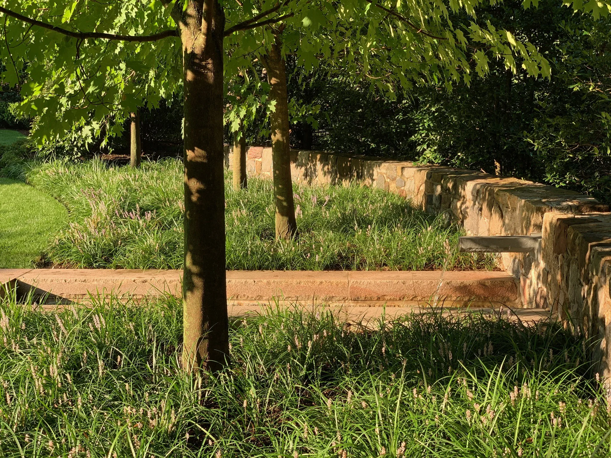 Fave shot of fountain from side.jpeg
