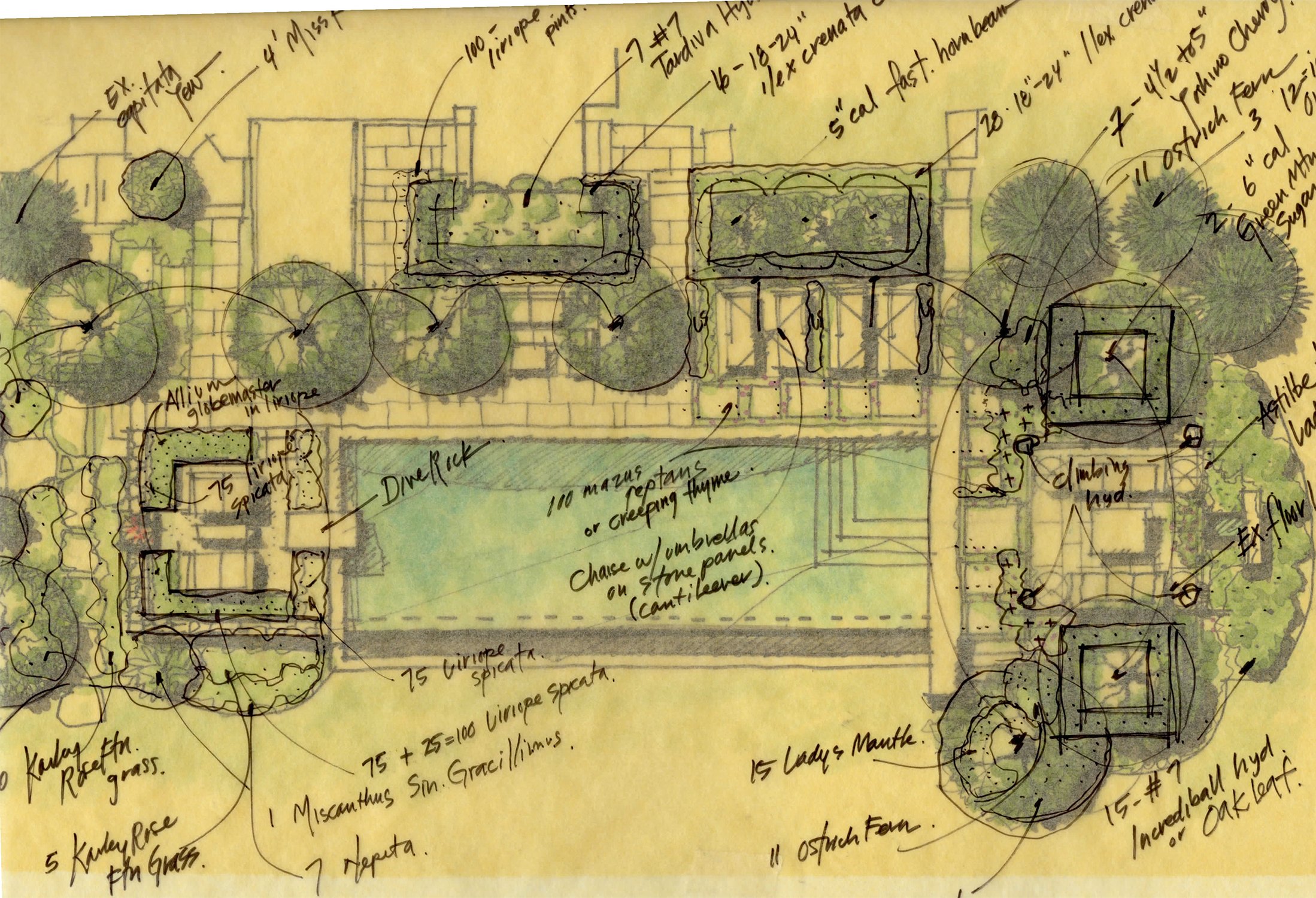 Monaco_planting overlay-1.jpg