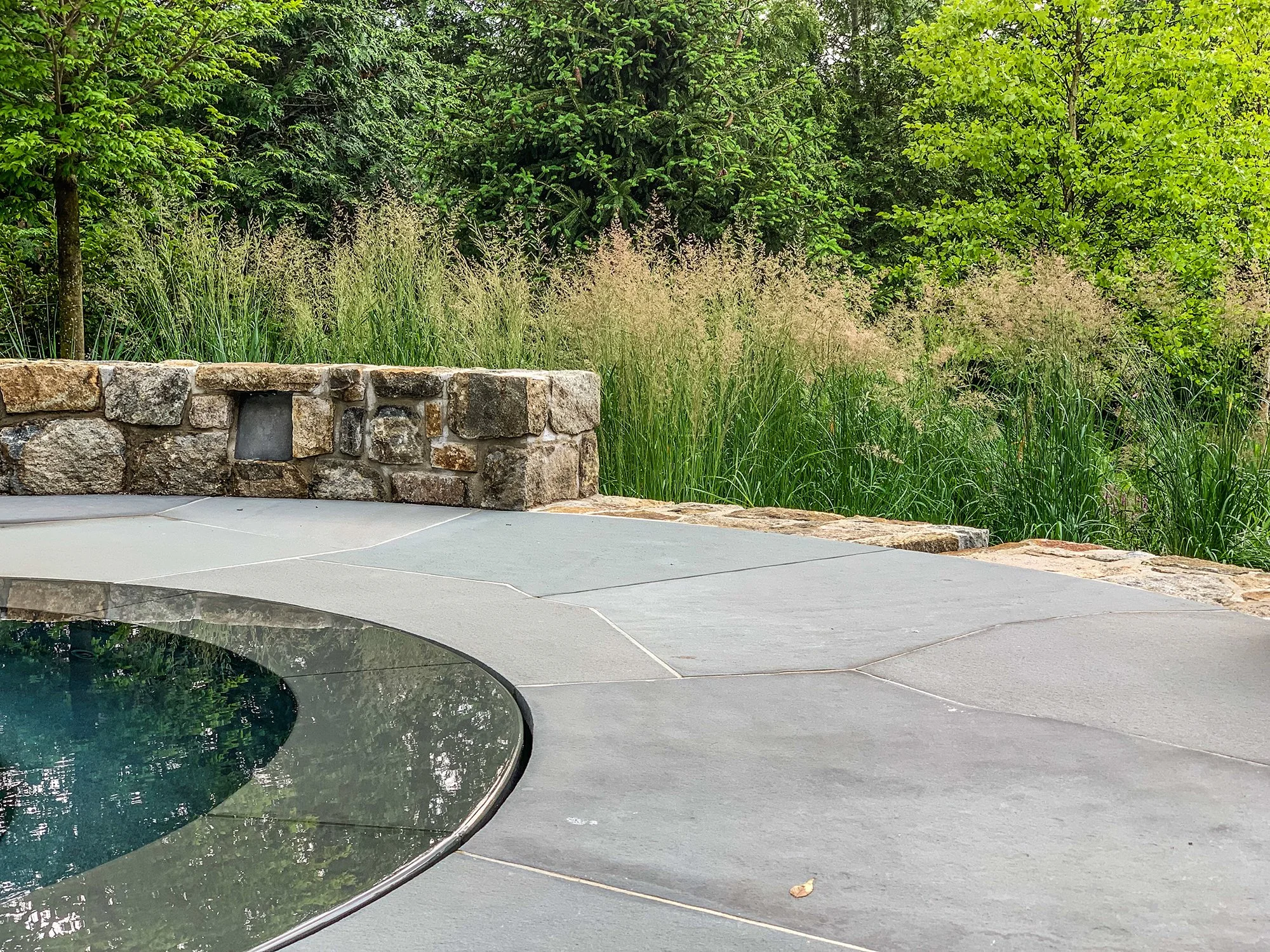 vnorth_spa with plantings_SS.jpg