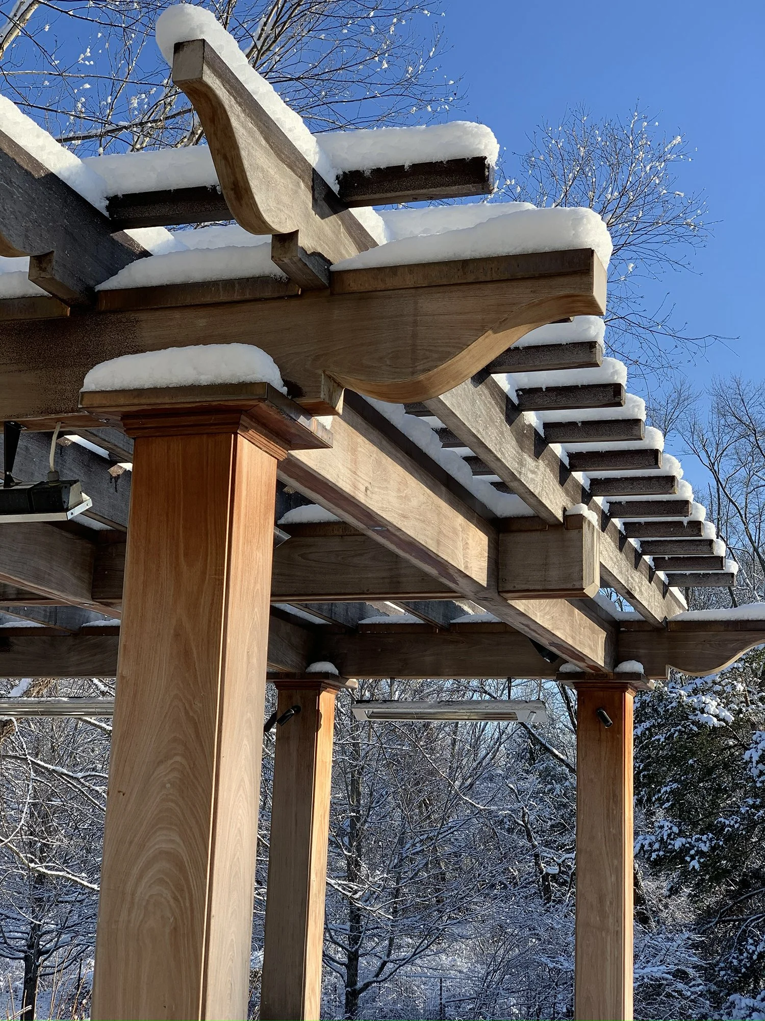 Downey_pergola in snow_SS.jpg