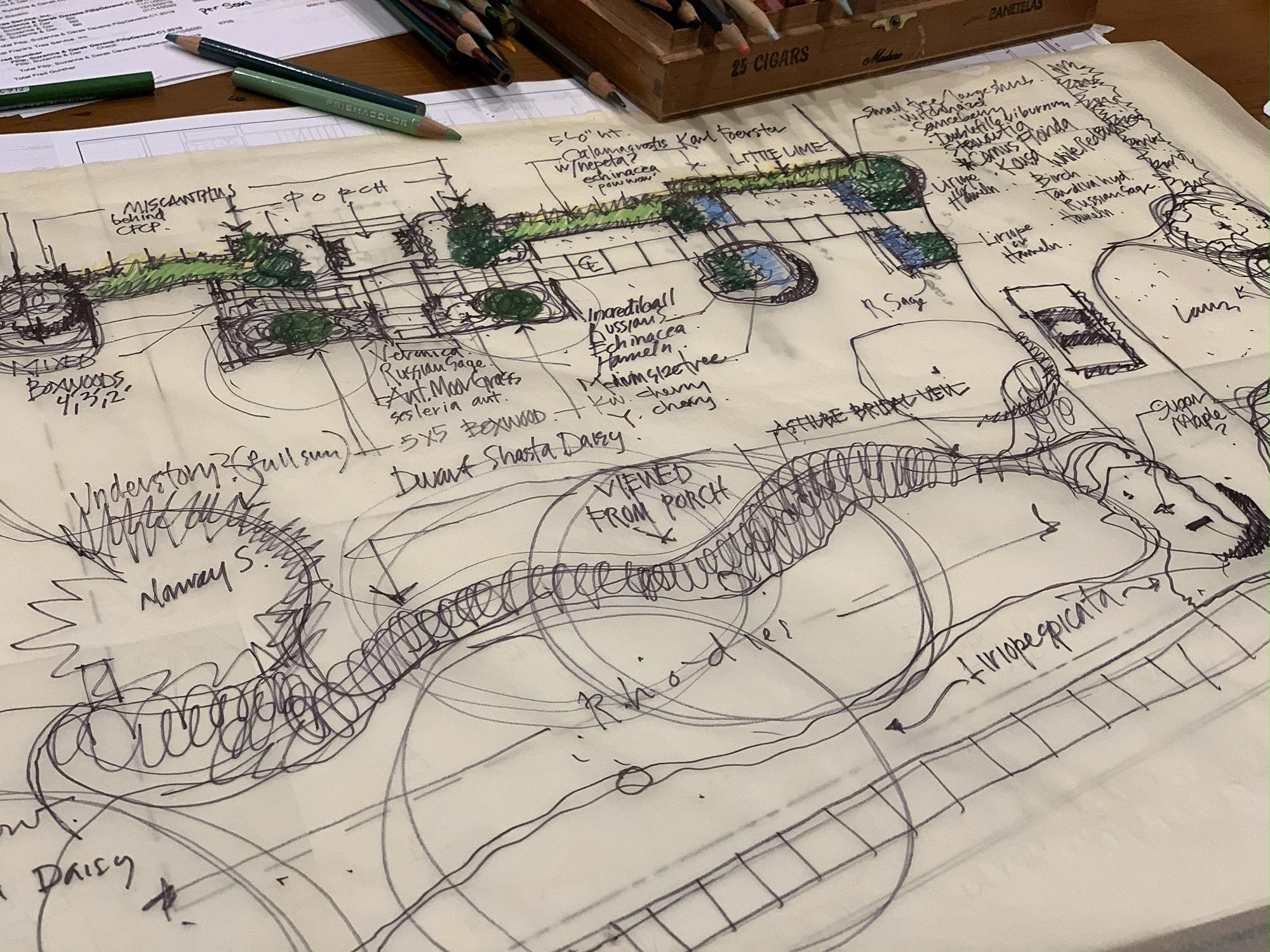 HOH_planting sketch.jpg