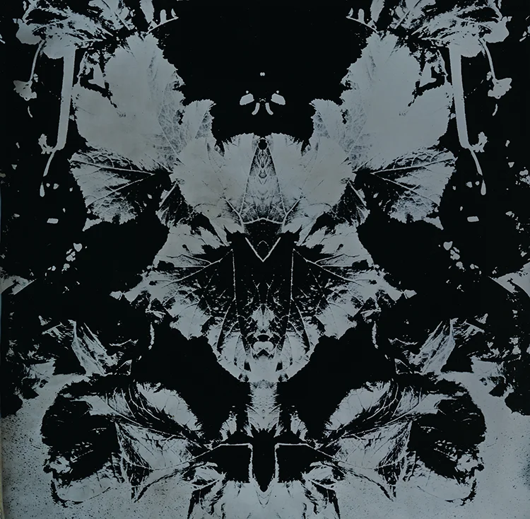 weedswillows3SQ-SP.jpg