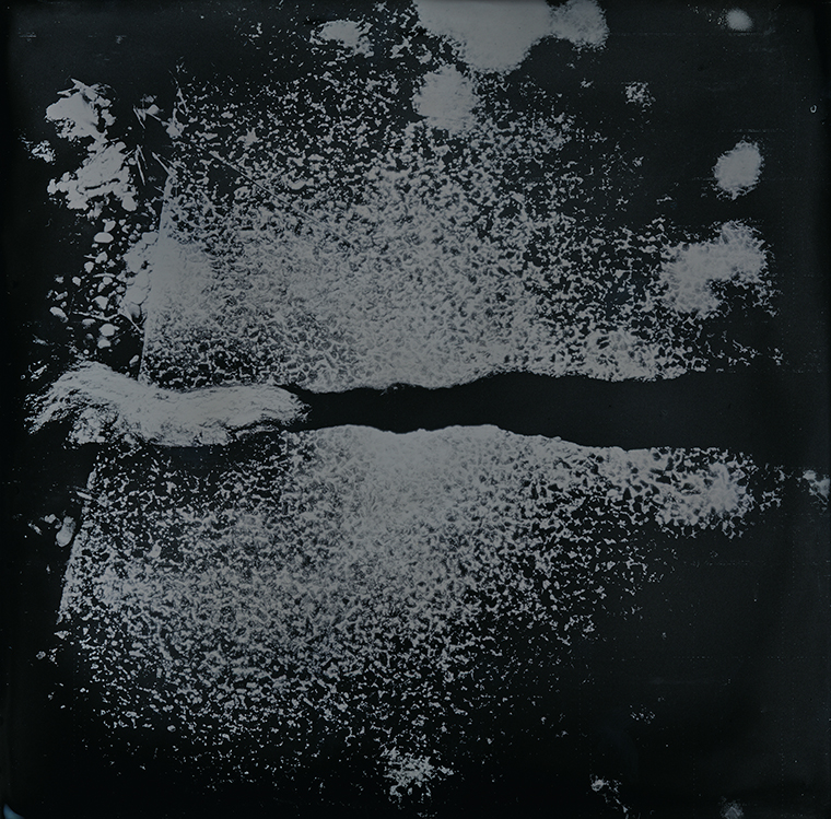 "Root" collodion ambrotype 5"x5" (matted & framed in all black to 15"x15"). Amy Rockett-Todd 2014.