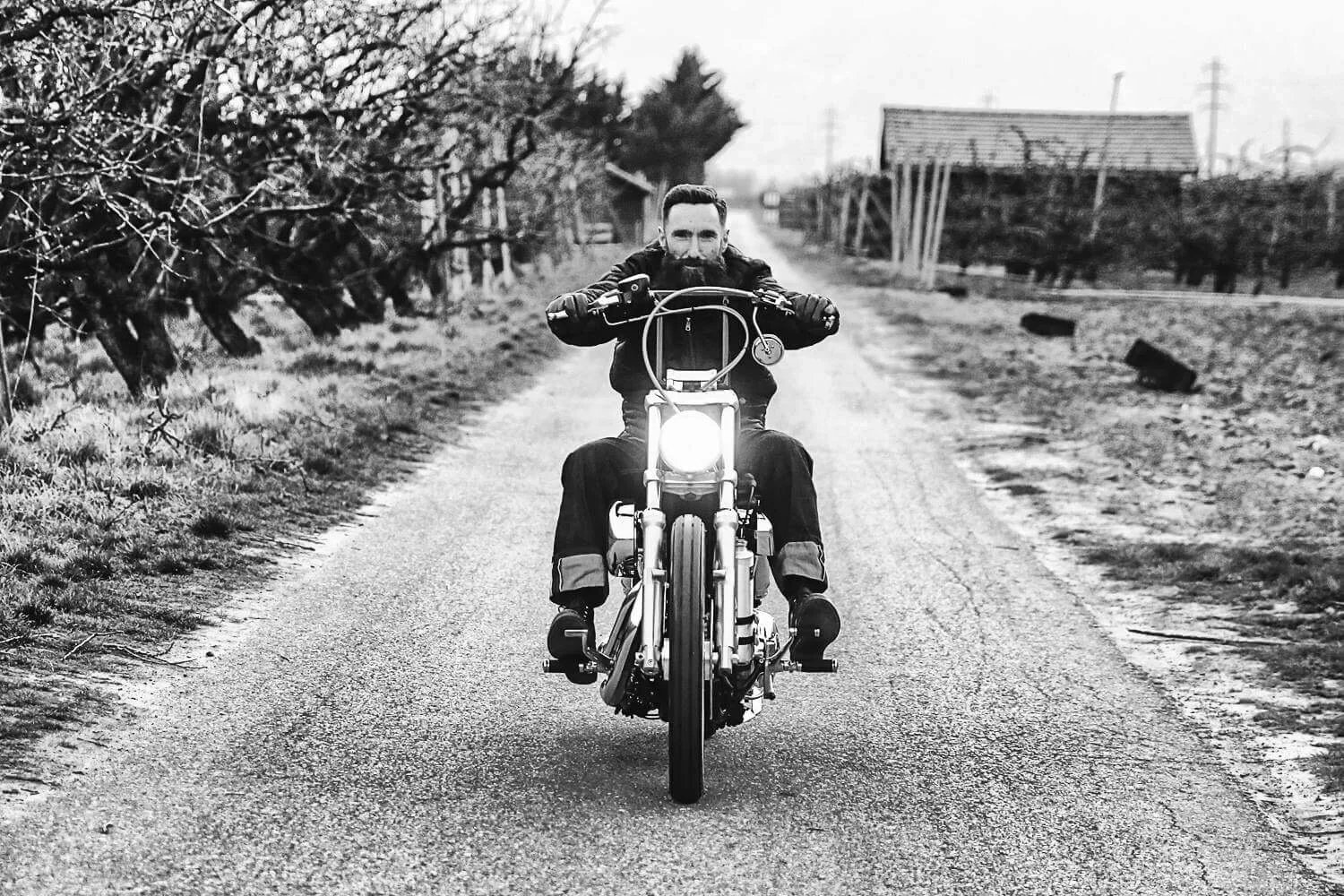 IMG_2924.jpg.webp