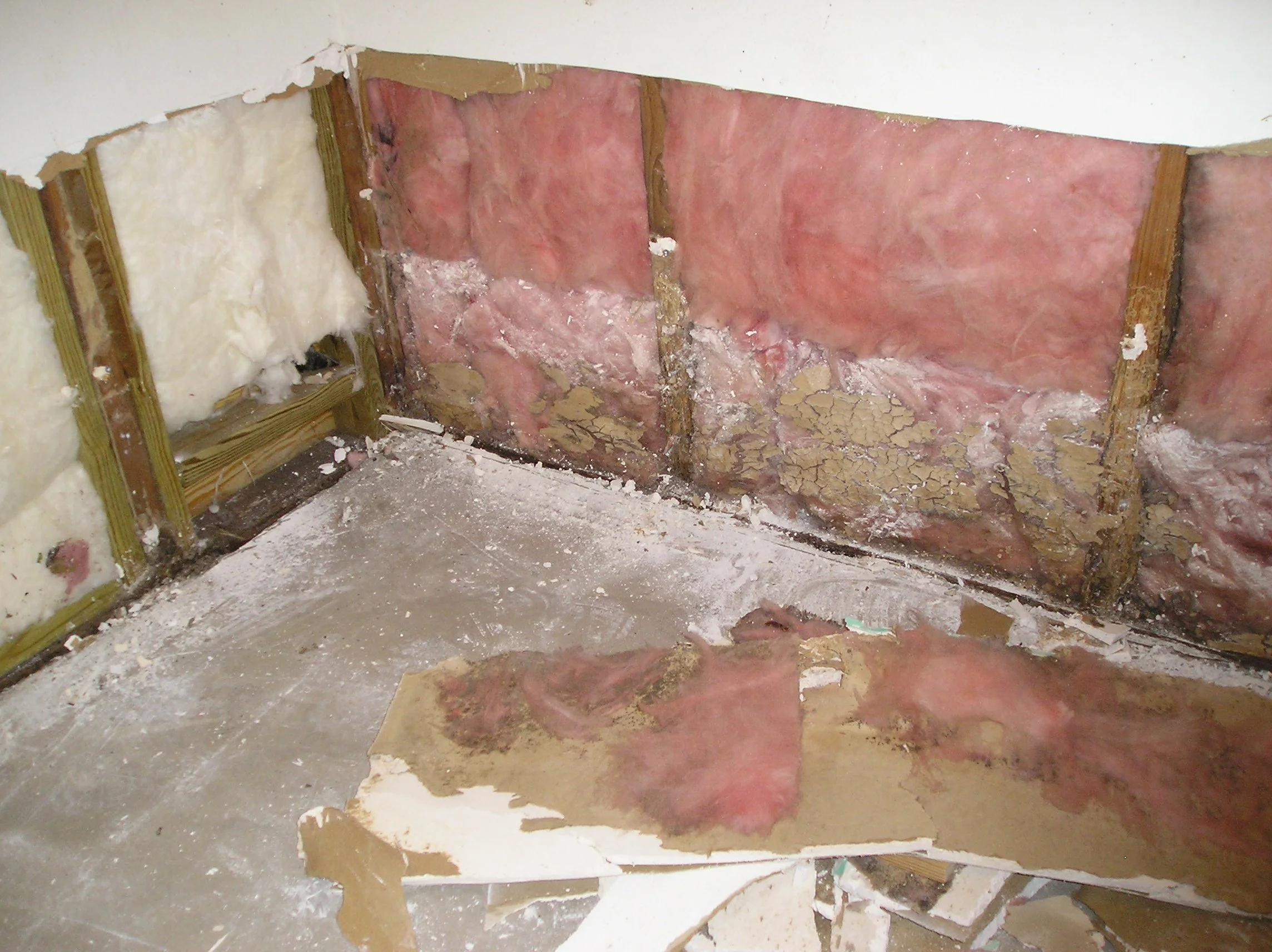 Insulation removal (3).JPG