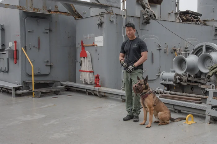 Here is the officer and canine team waiting patiently for everything to be ready below.