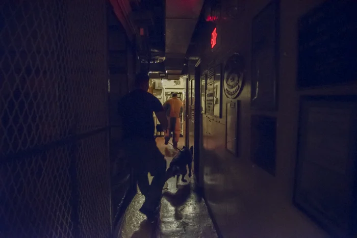 The decoy is flushed from his hiding place and 'escapes' down the passageway with the officer and canine in pursuit.