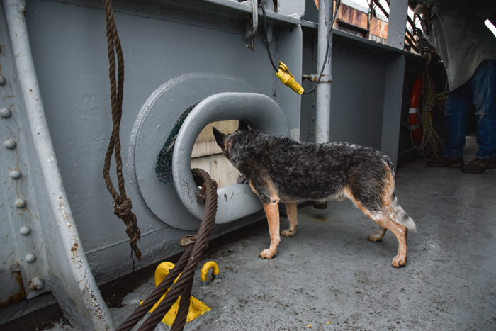 Every step of the process is carefully monitored.