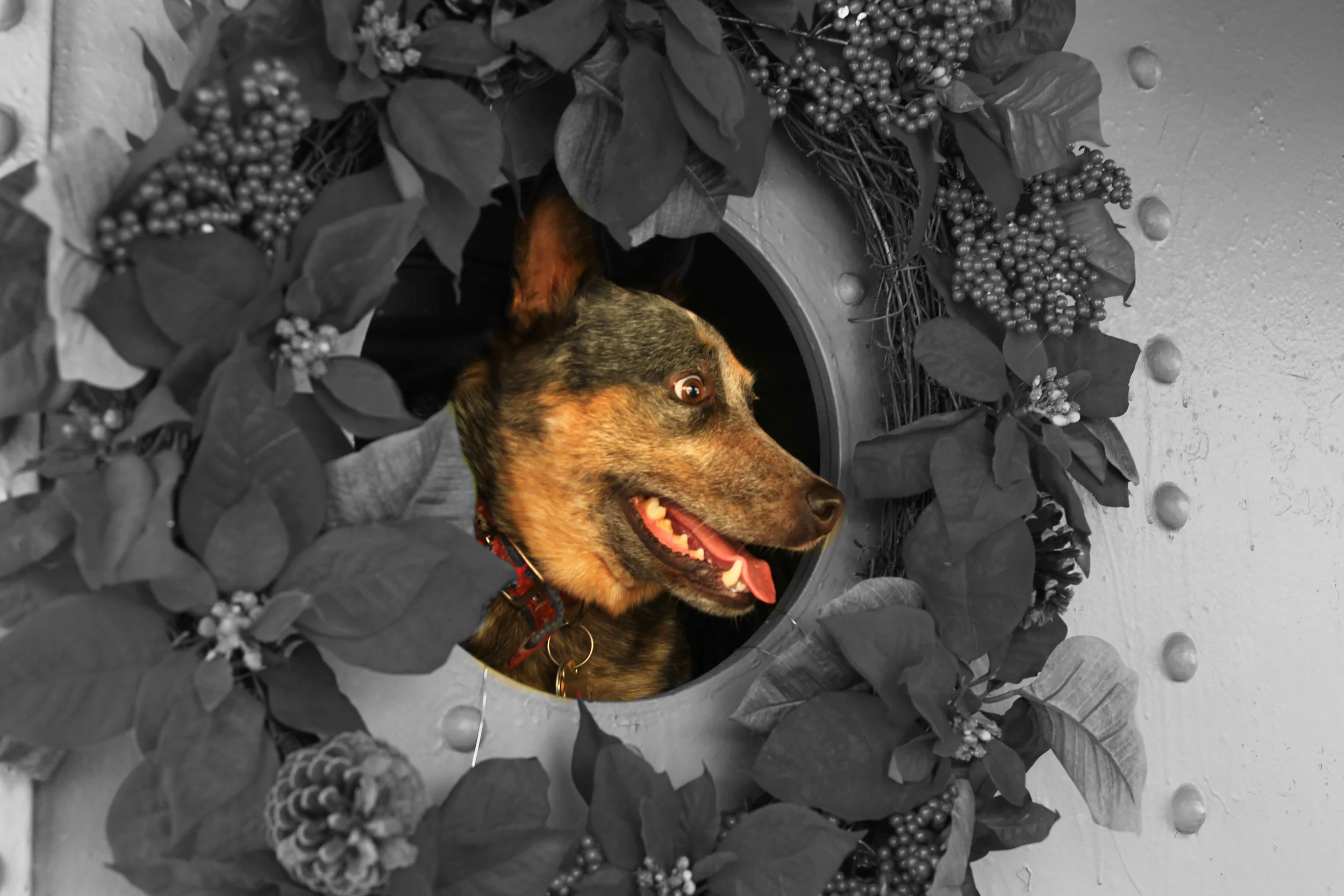 Putting up with this Bunch