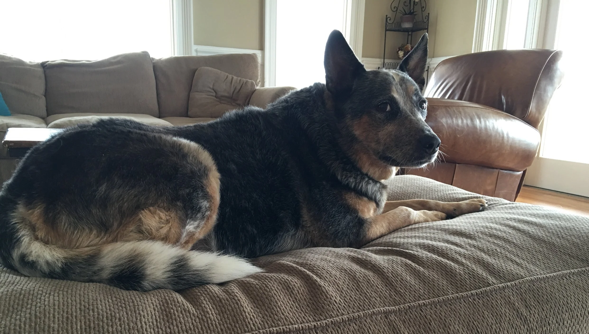 Adventures in Jack's World