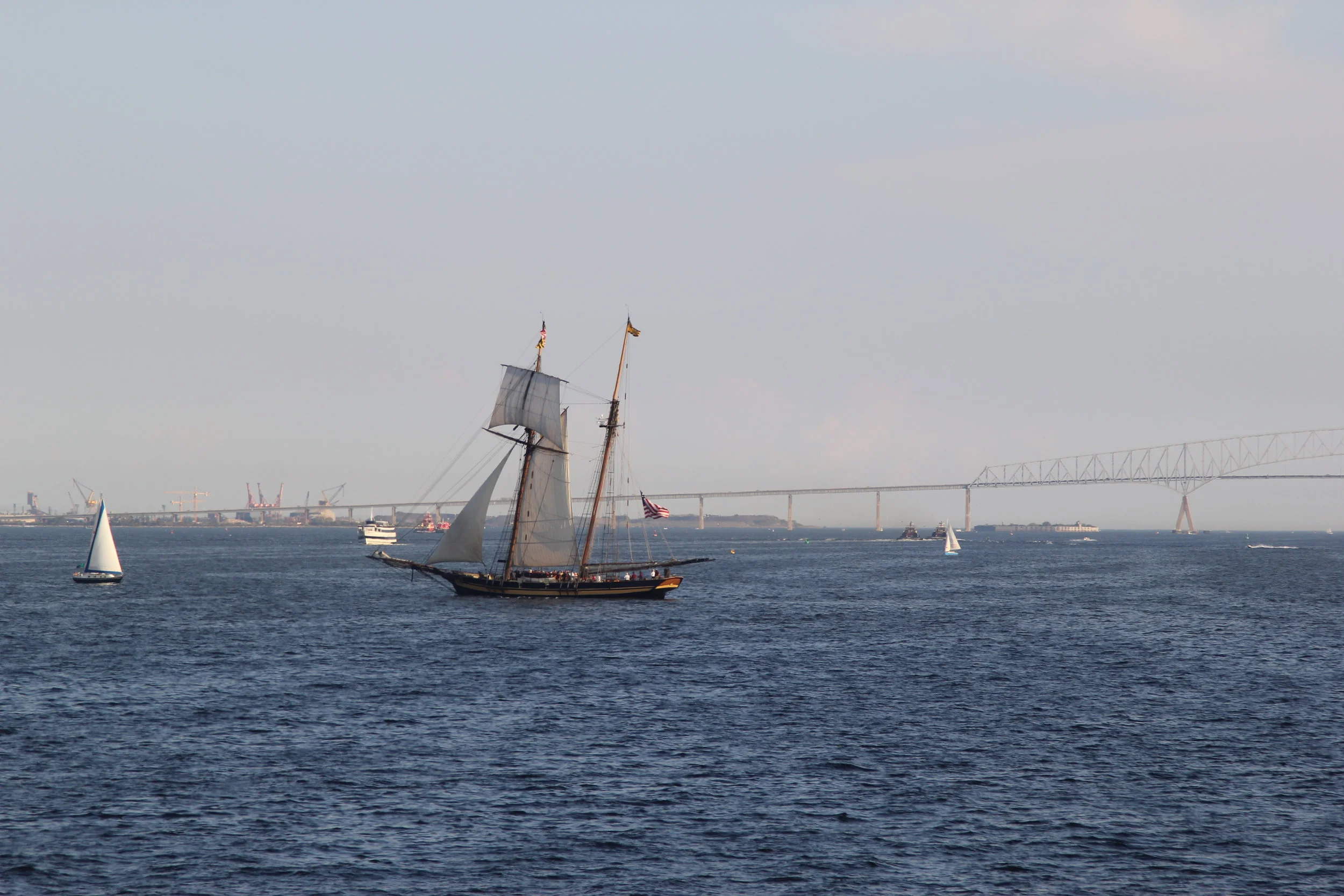 Other historical ships like the Pride of Baltimore II! Though we are a steel ship, we do love the wooden tall ships as well. 