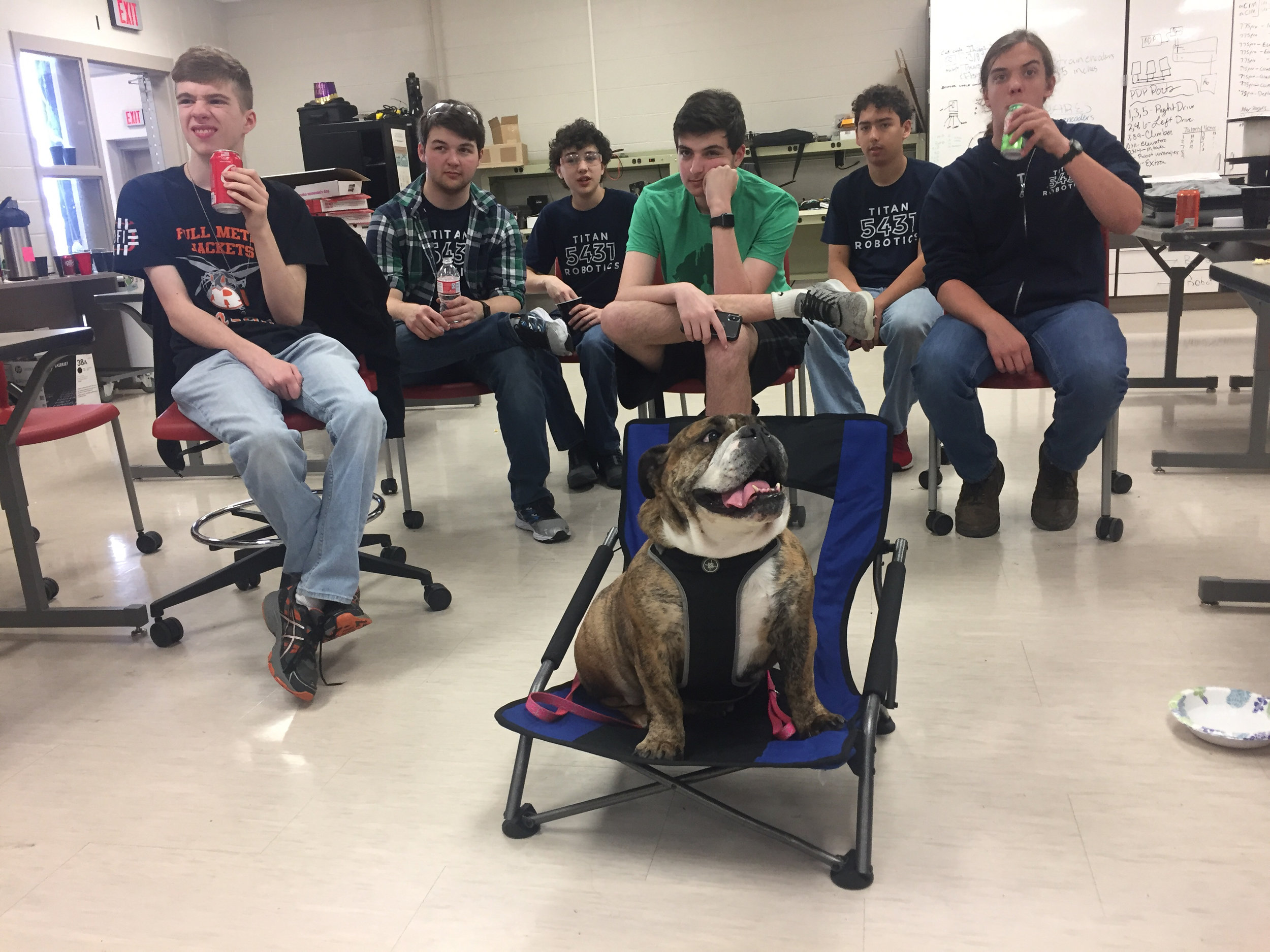 Matilda holds court while the scouts watch webcasts.