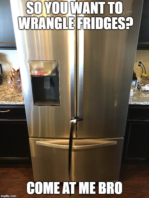 IHeardYouLikeFridges.jpg