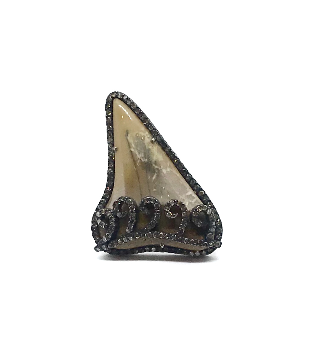 RING51.jpg
