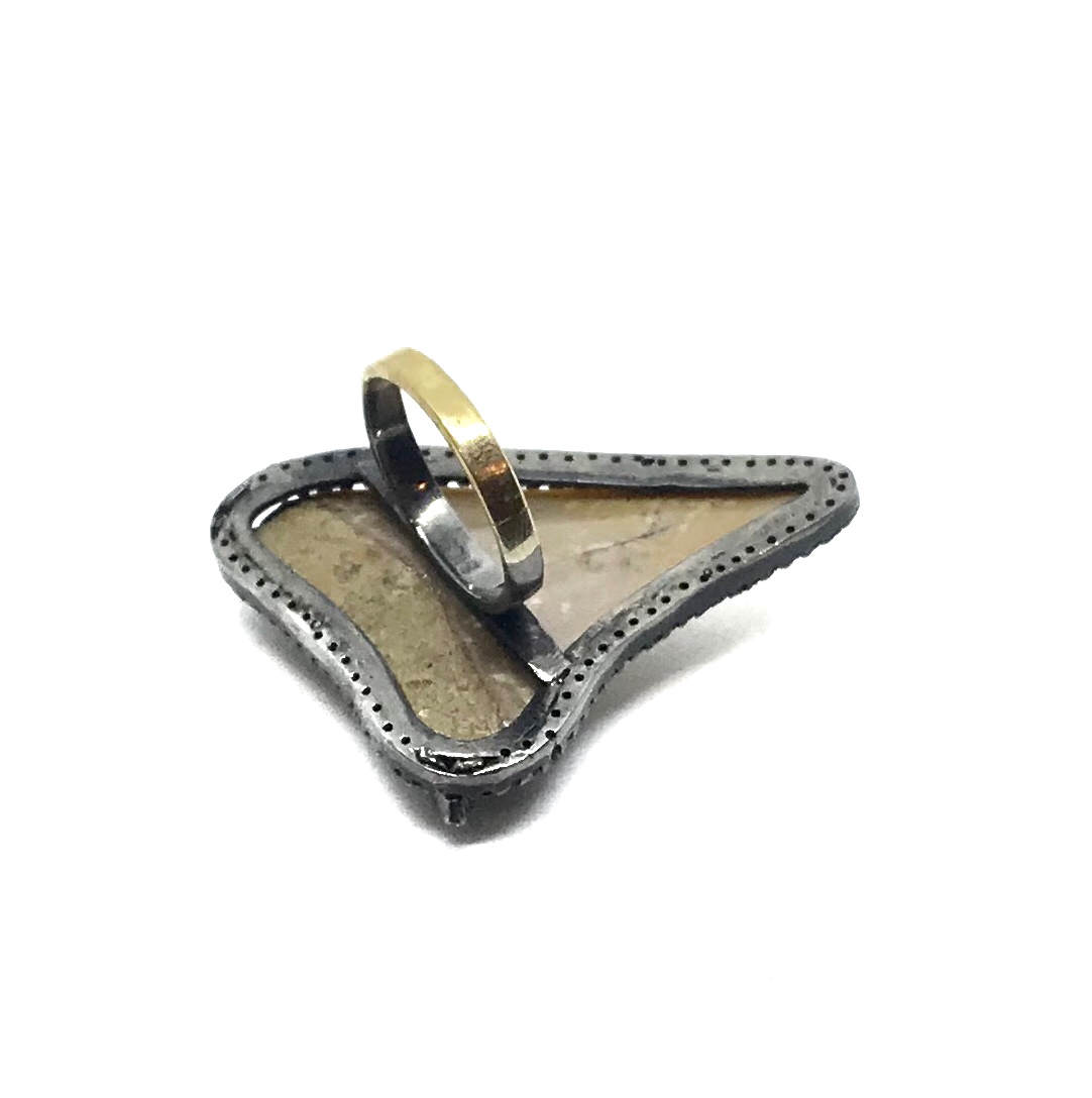 RING54.jpg