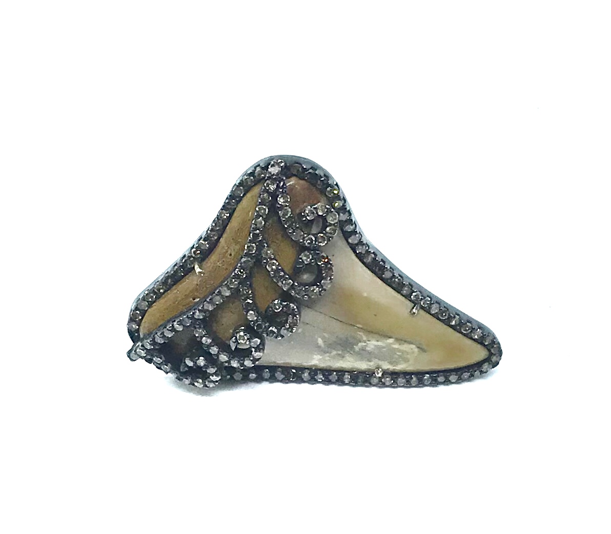 RING53.jpg