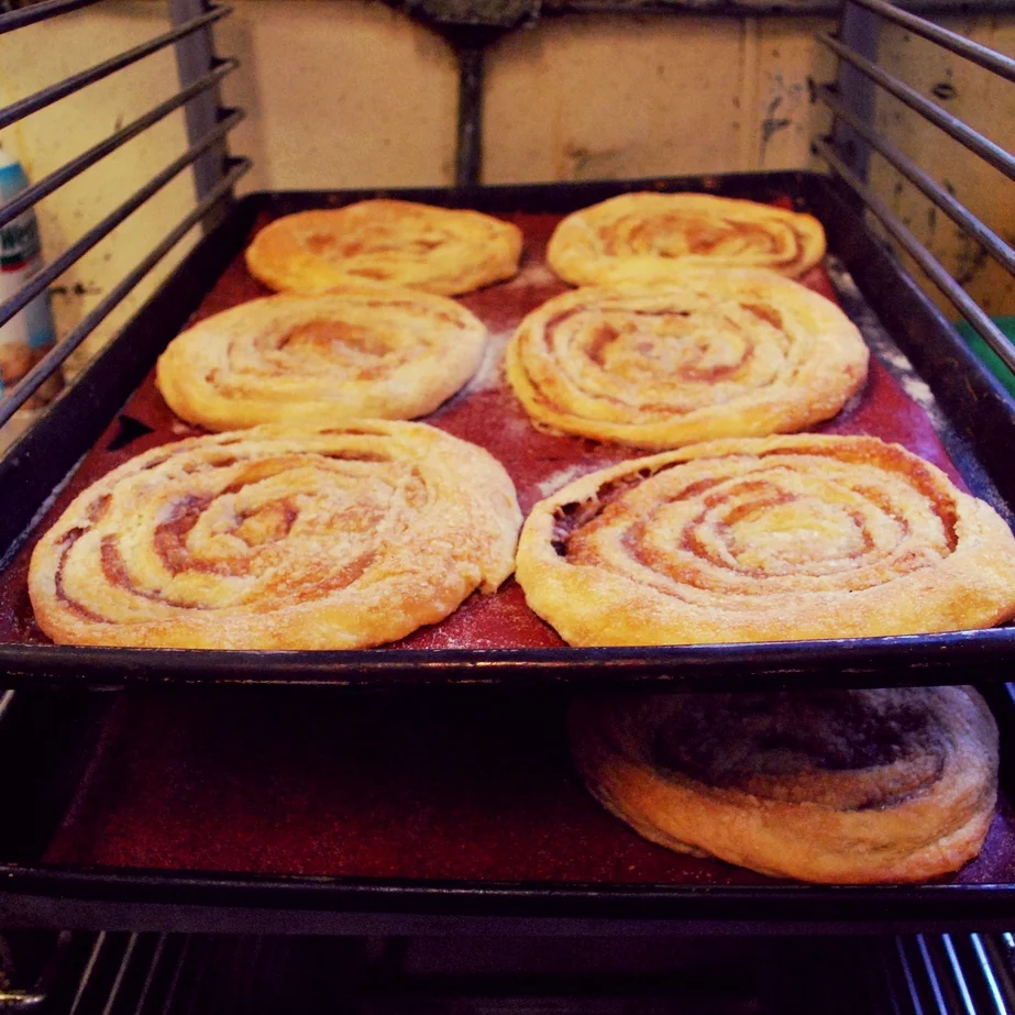 Elephant Ears