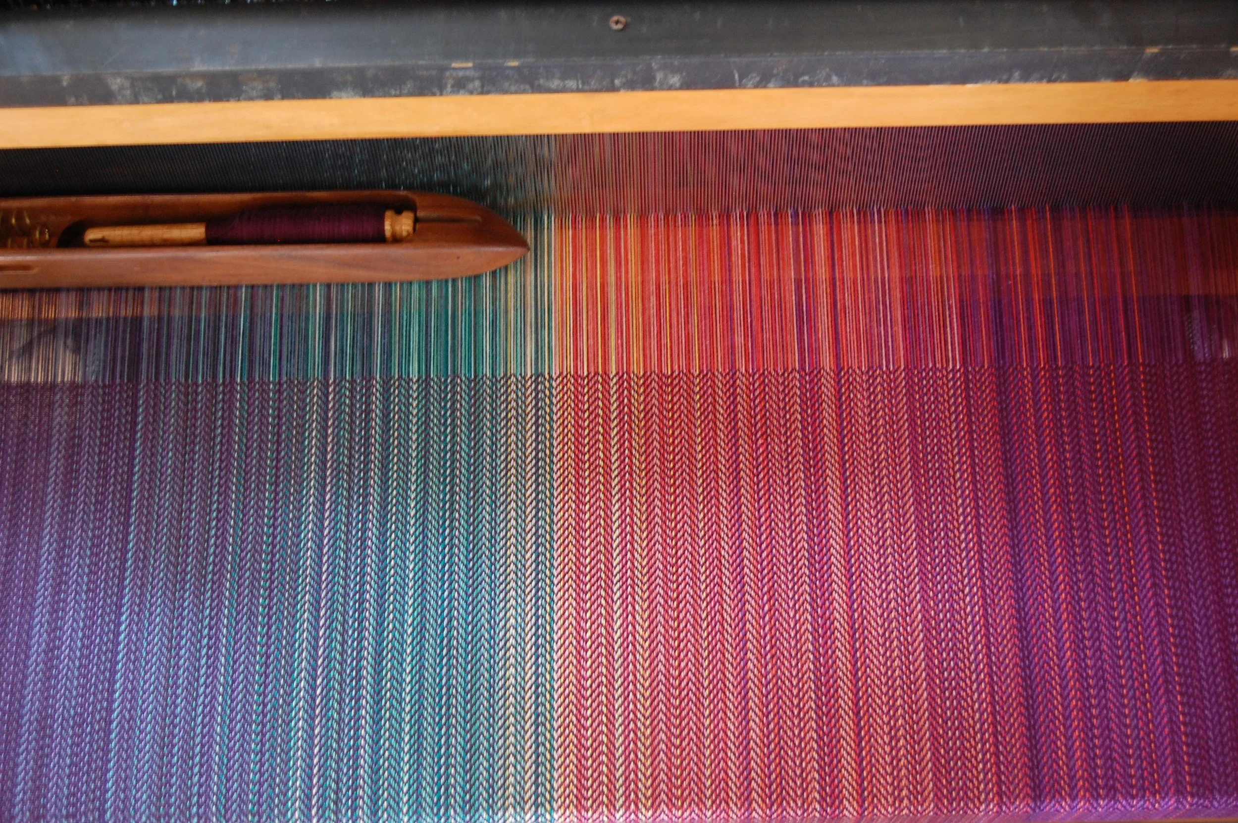 eggplant EC weft