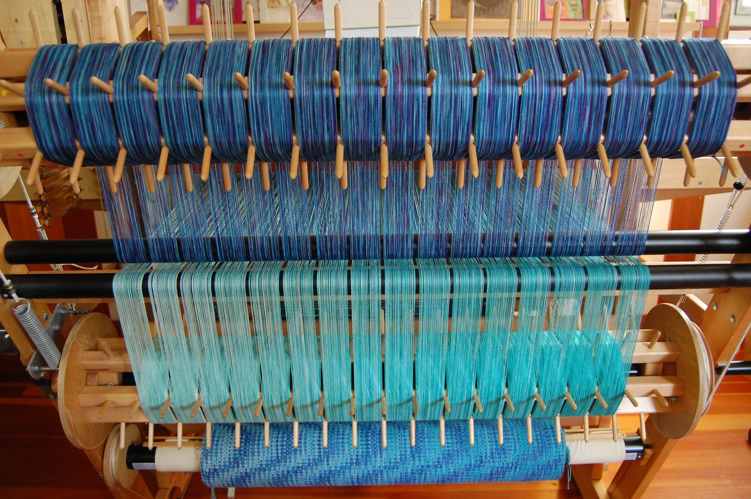 DSC_0446.jpg