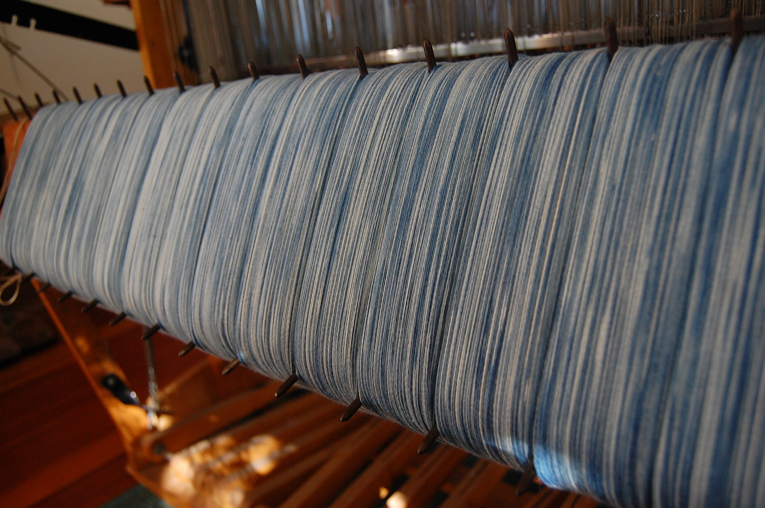 the warp on the loom