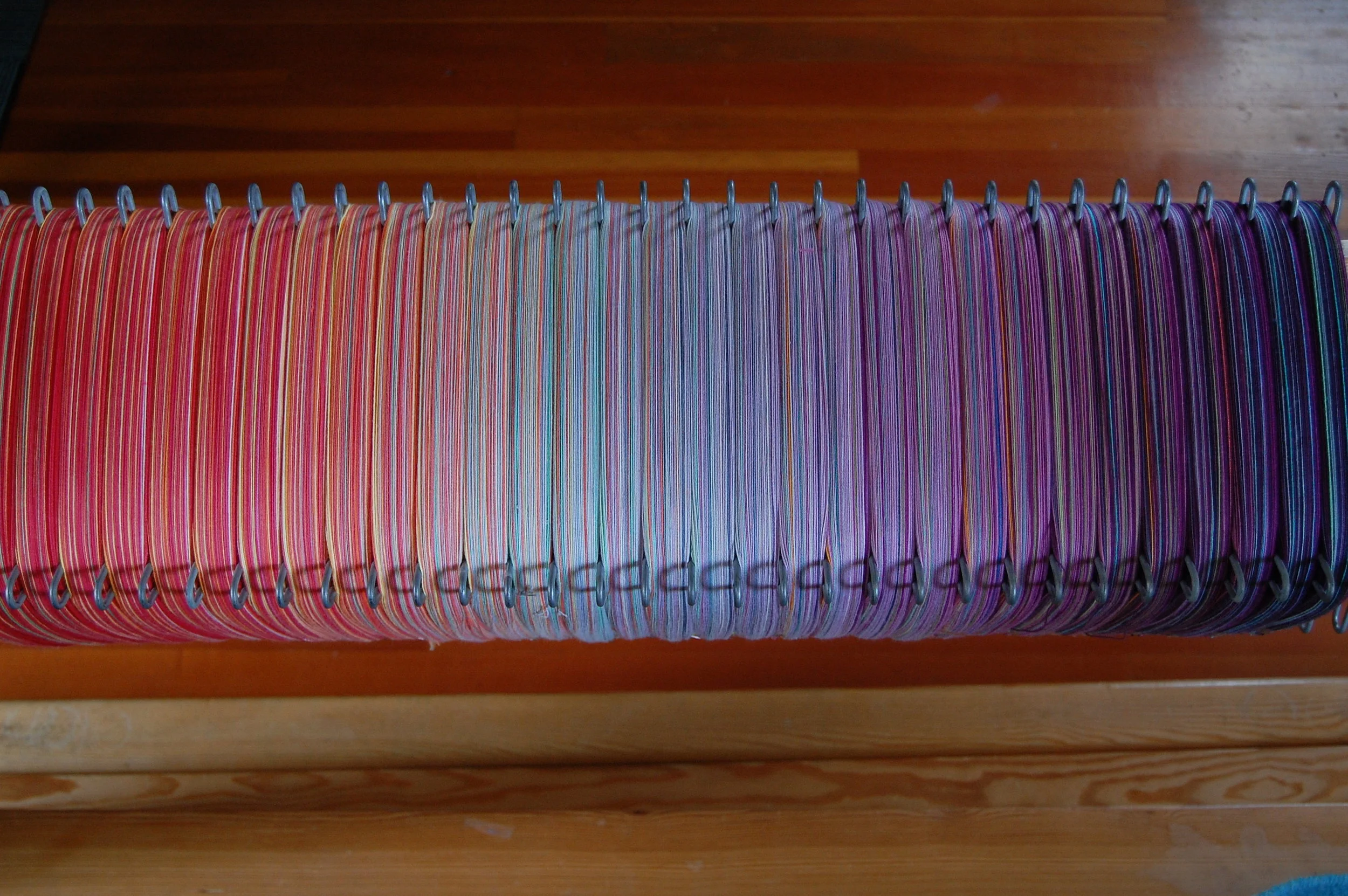 the warp