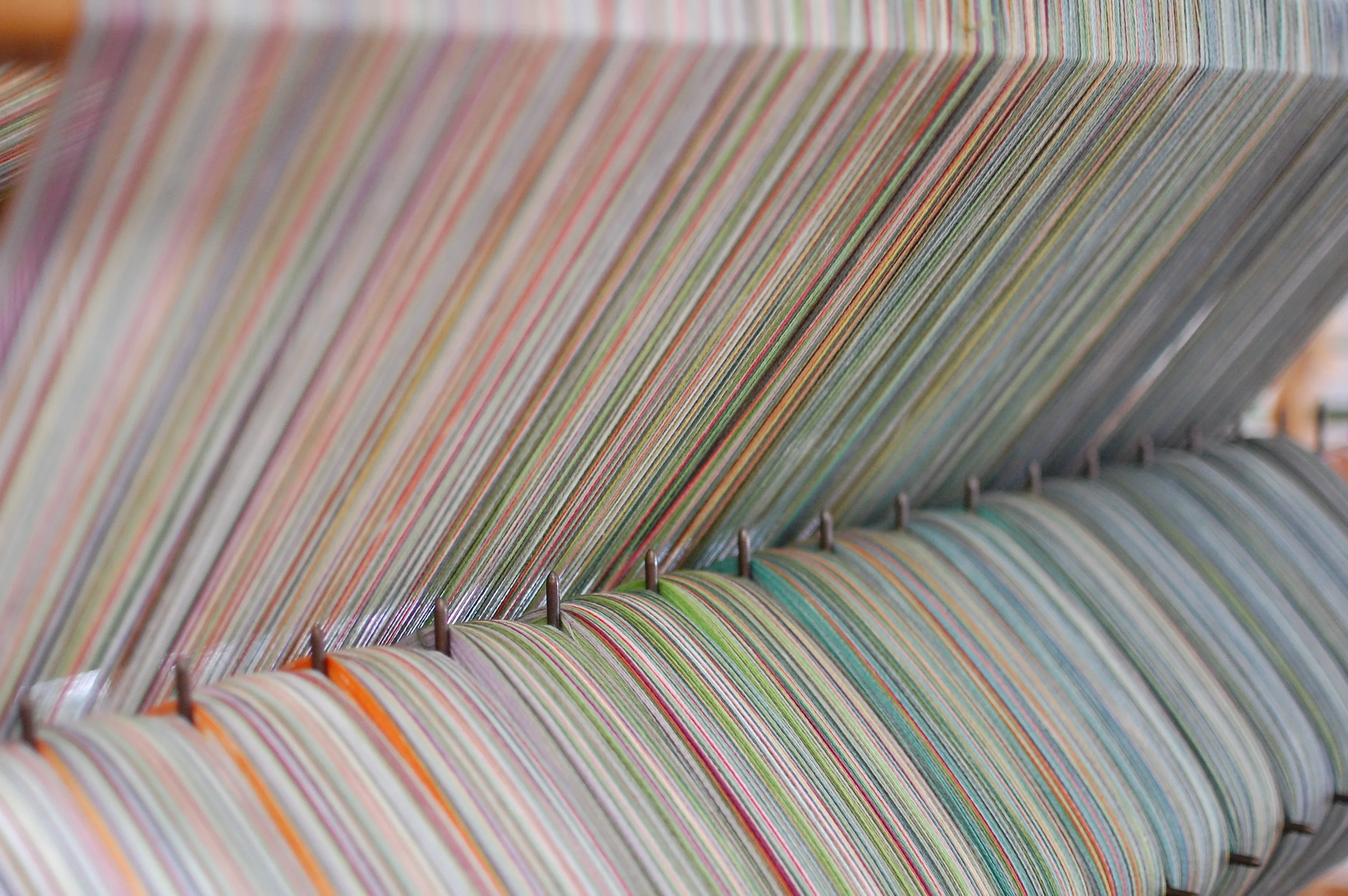 the warp - shown here under tension during weaving