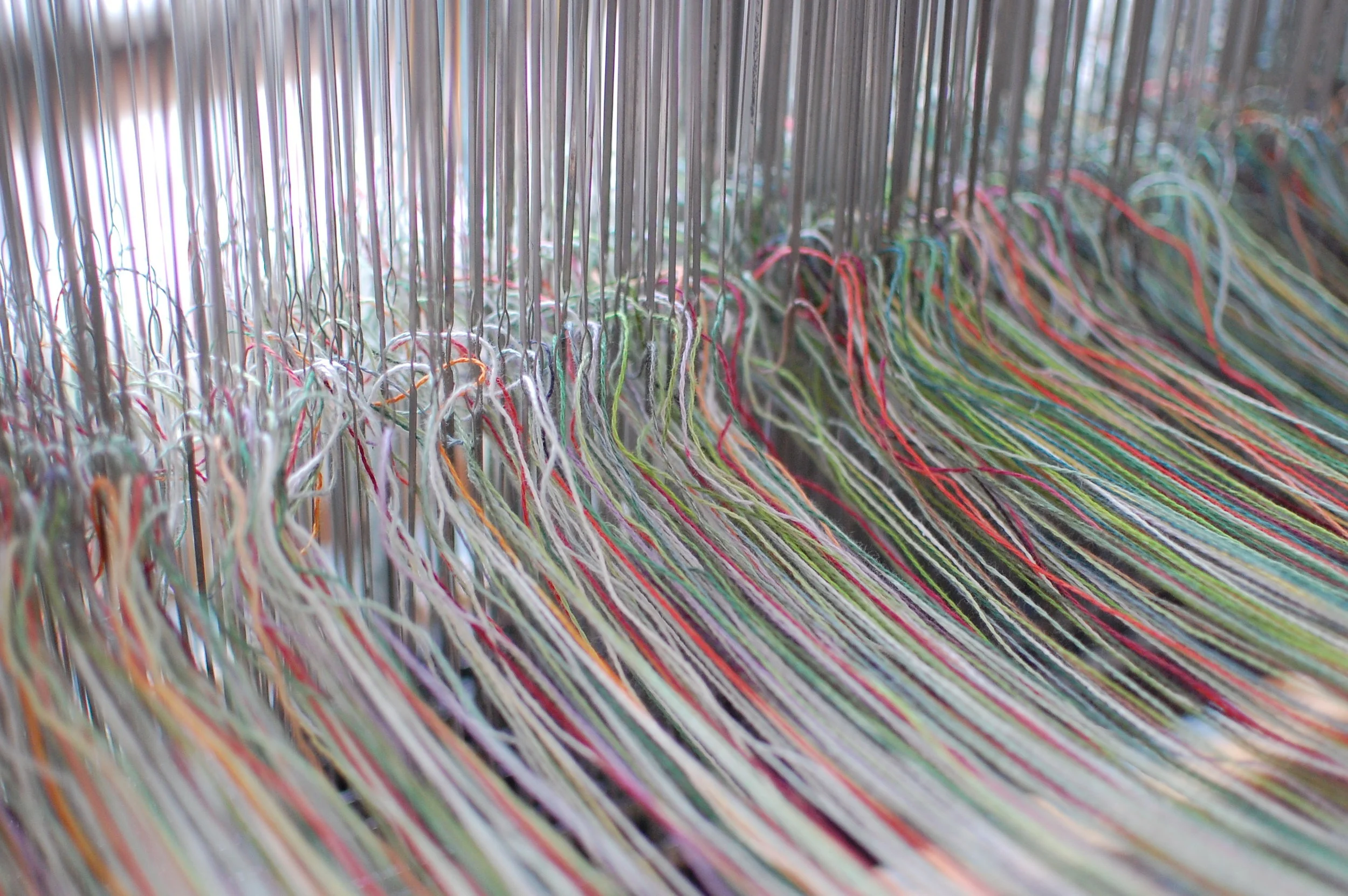 the warp - after threading each heddle