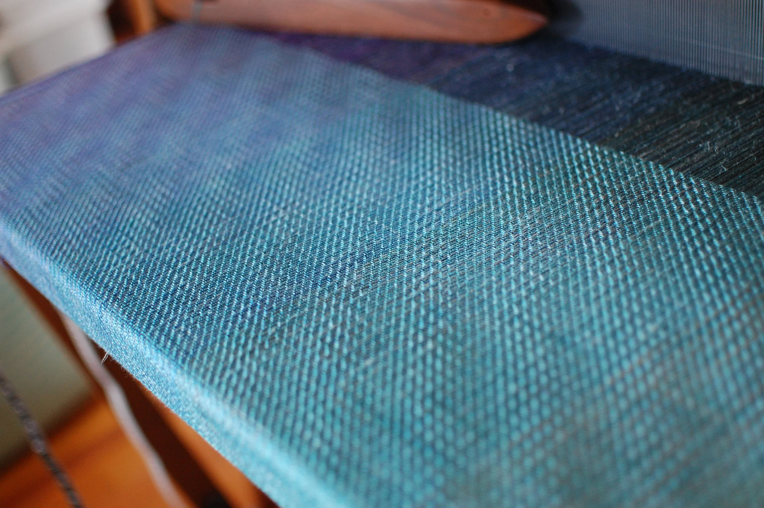 DSC_0175.jpg