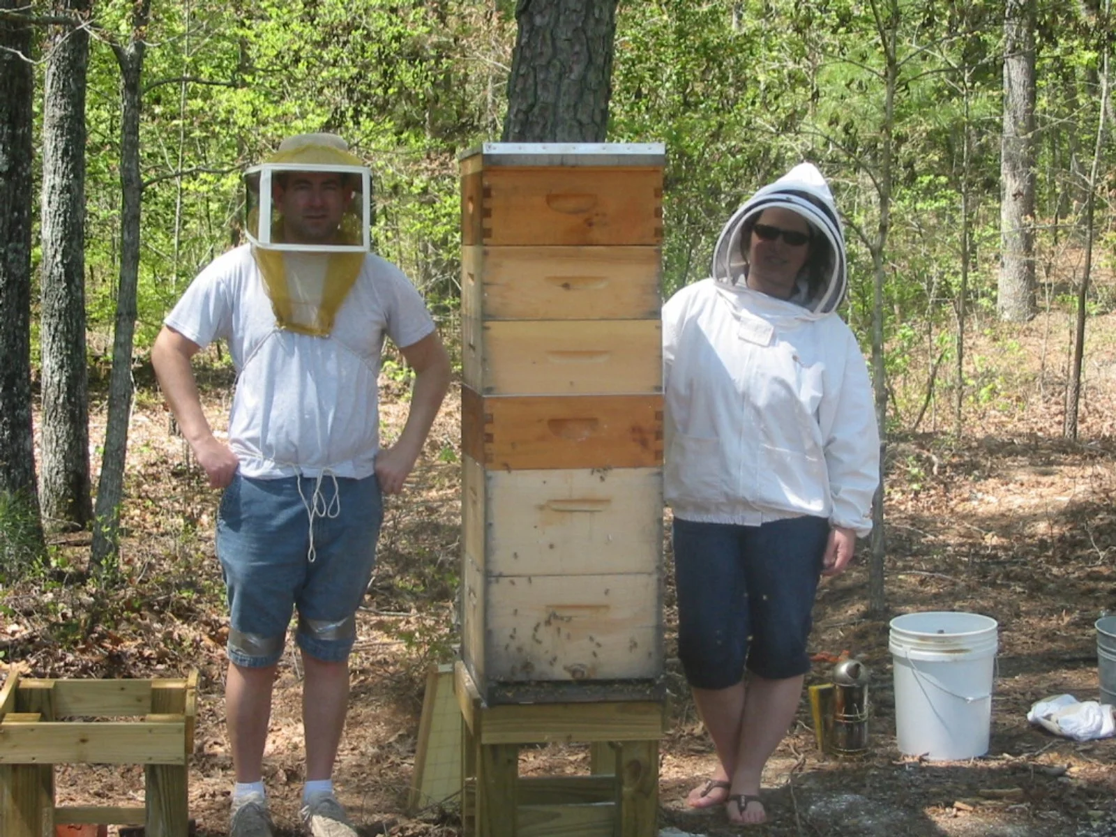 2008 Superhive