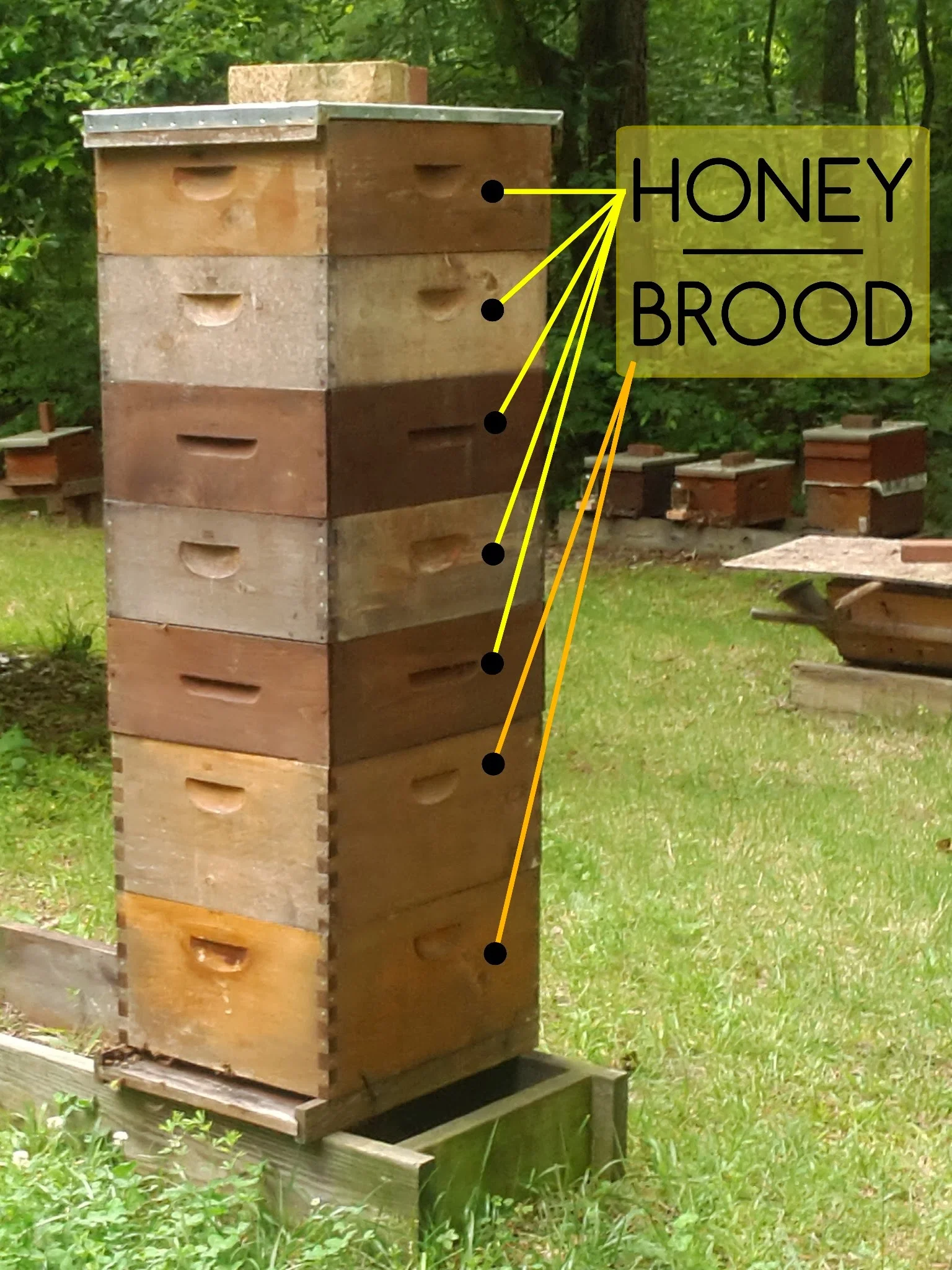 Langstroth hive. And a big one! This hive from early 2013 did fantastically!