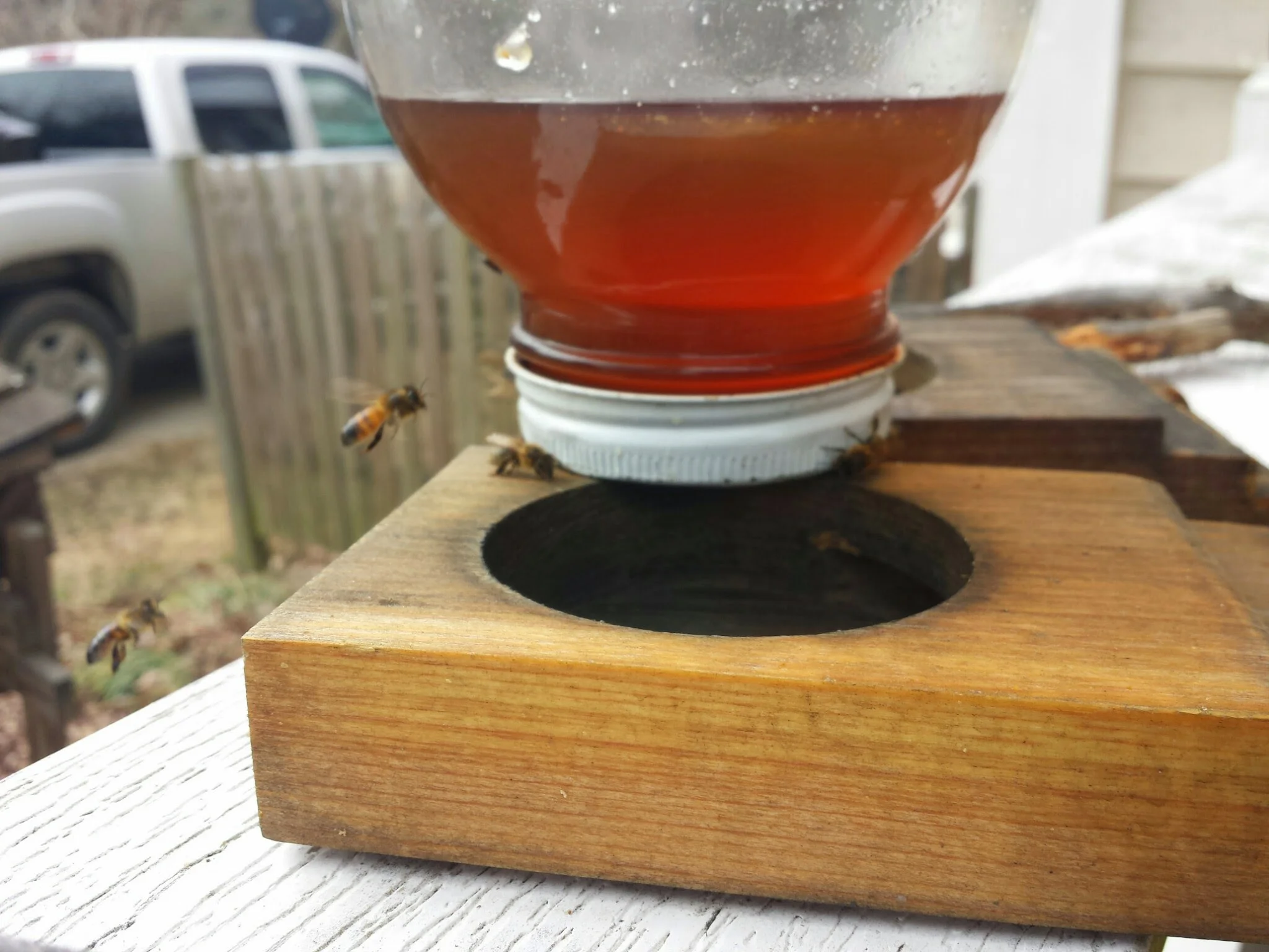 Do your bees need supplemental feed?