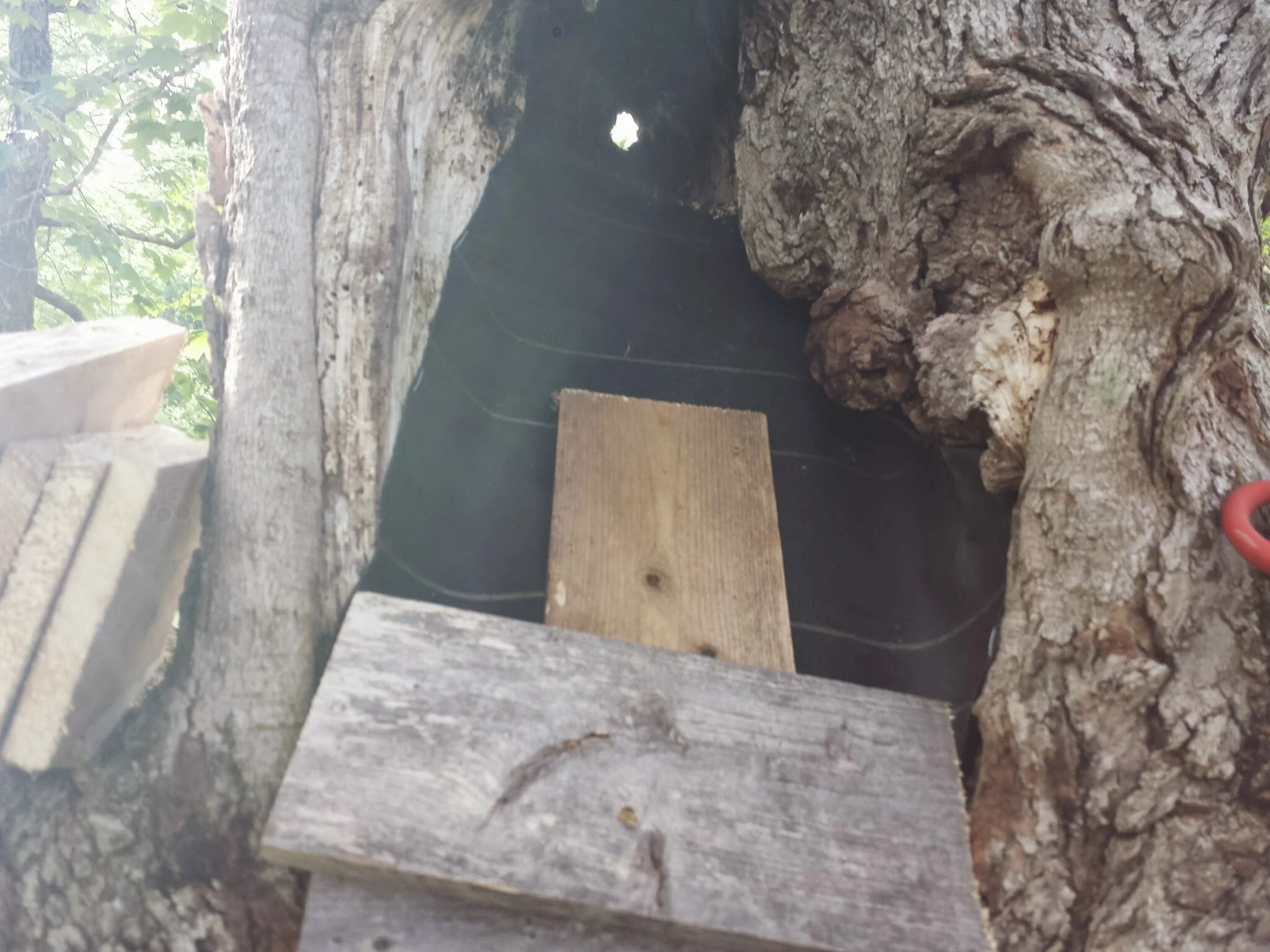 We cover that with tar-paper and start shingling with 1x6s.