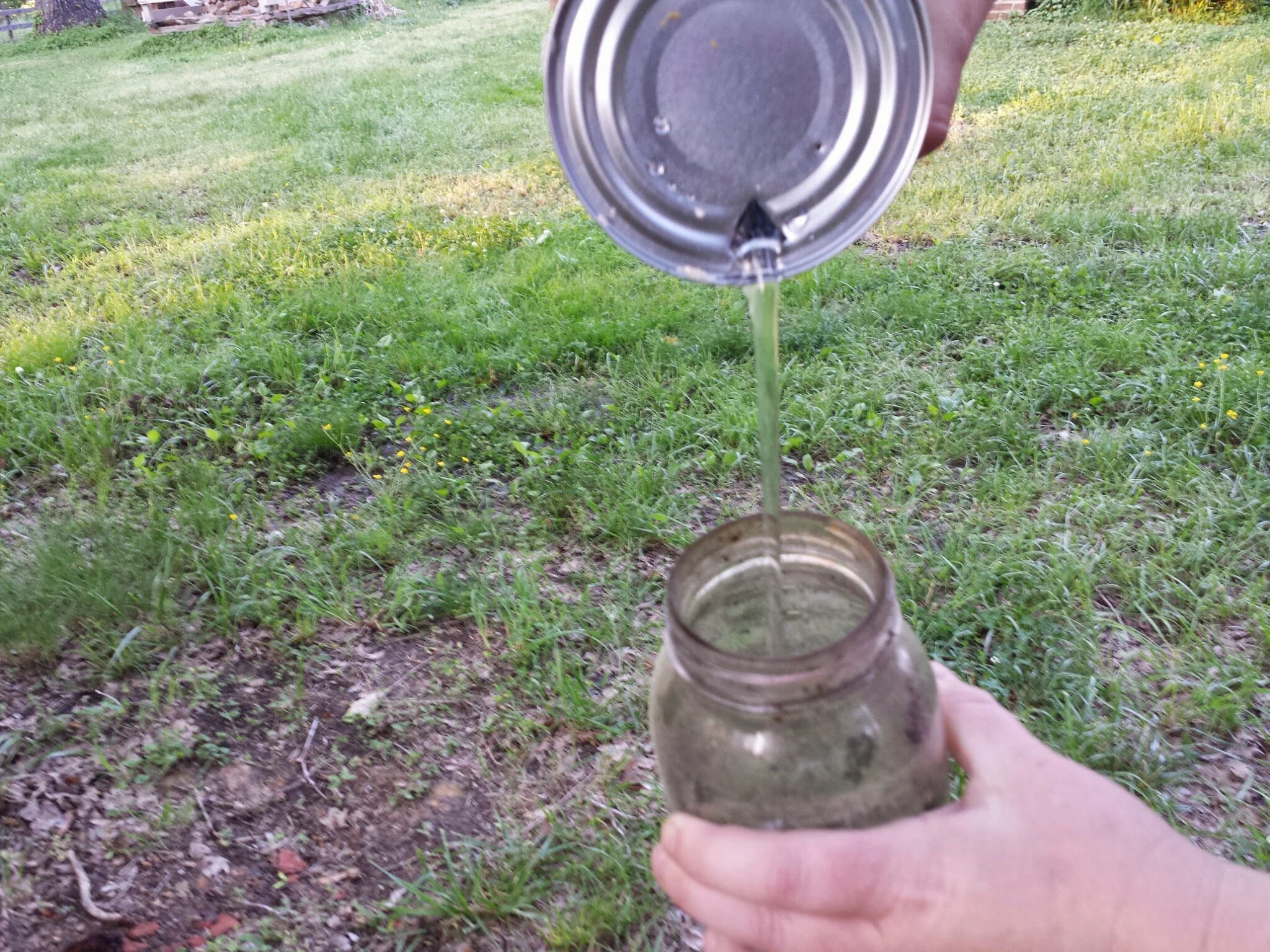 We fill our feeder with the syrup. In this example, we are using an entrance feeder.