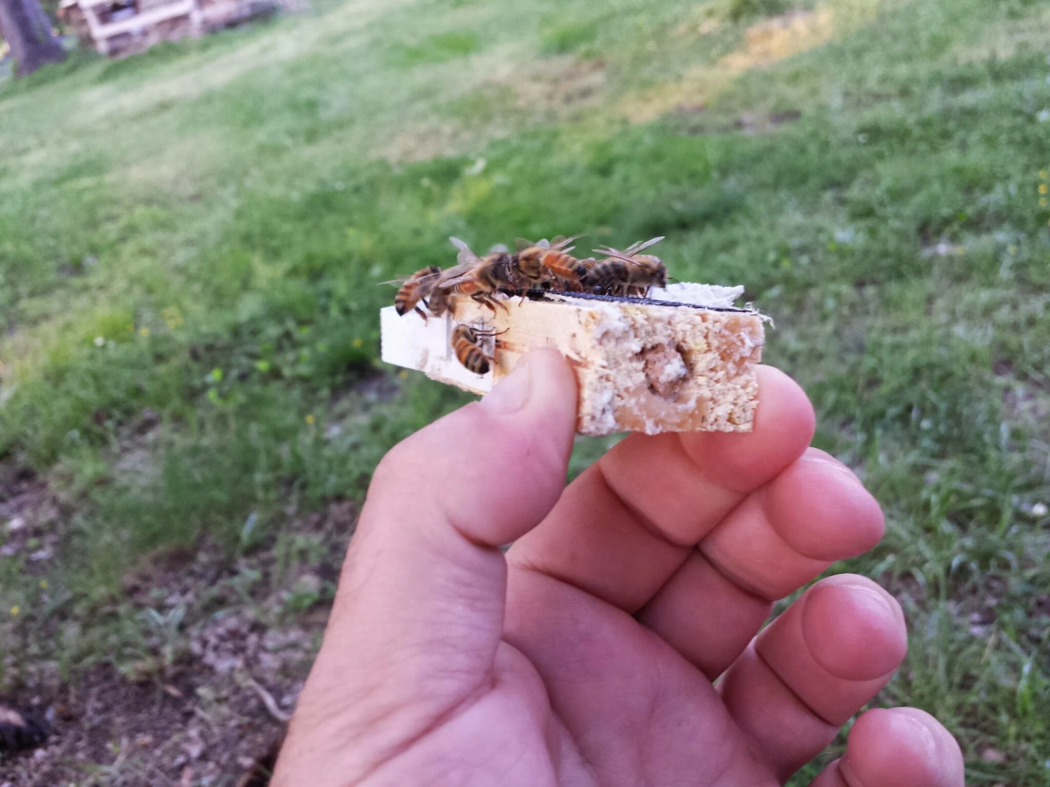 The candy end and cork.