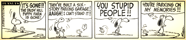 Copyright Charles M. Schulz/United Features Syndicate