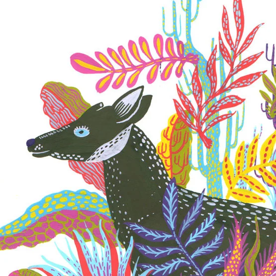 okapi-series-thumb.jpg