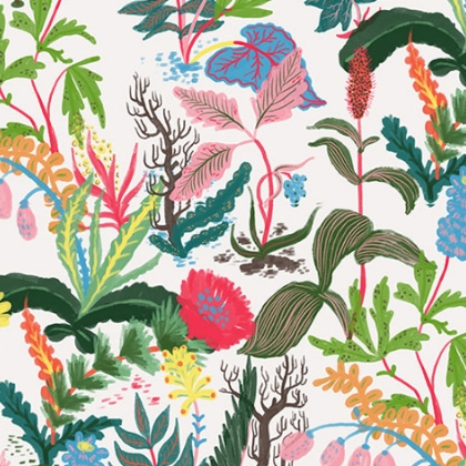 undergrowth.jpg