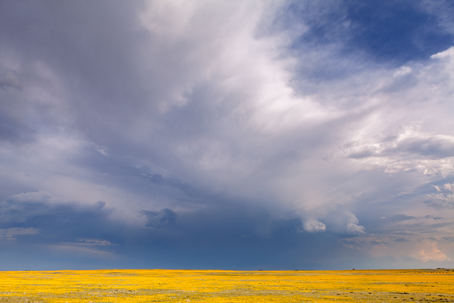 On the drive back into Nebraska. There was a tons of simply gorgeous light in eastern Wyoming and western Nebraska. It seems whenever I drive through that area the light is amazing. Unfortunately since it has only been suicide runs between Omaha and SF on the interstate the scenery has blown. I did see the best sunset of my life out there a year and a half ago when I first took Bree out to SF.